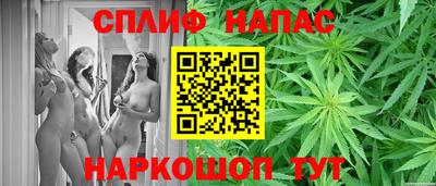МДПВ Гай