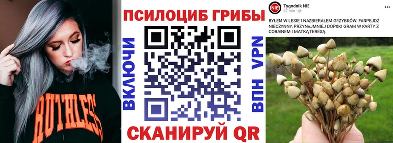 Псилоцибиновые грибы прущие грибы  blacksprut онион  Анапа 