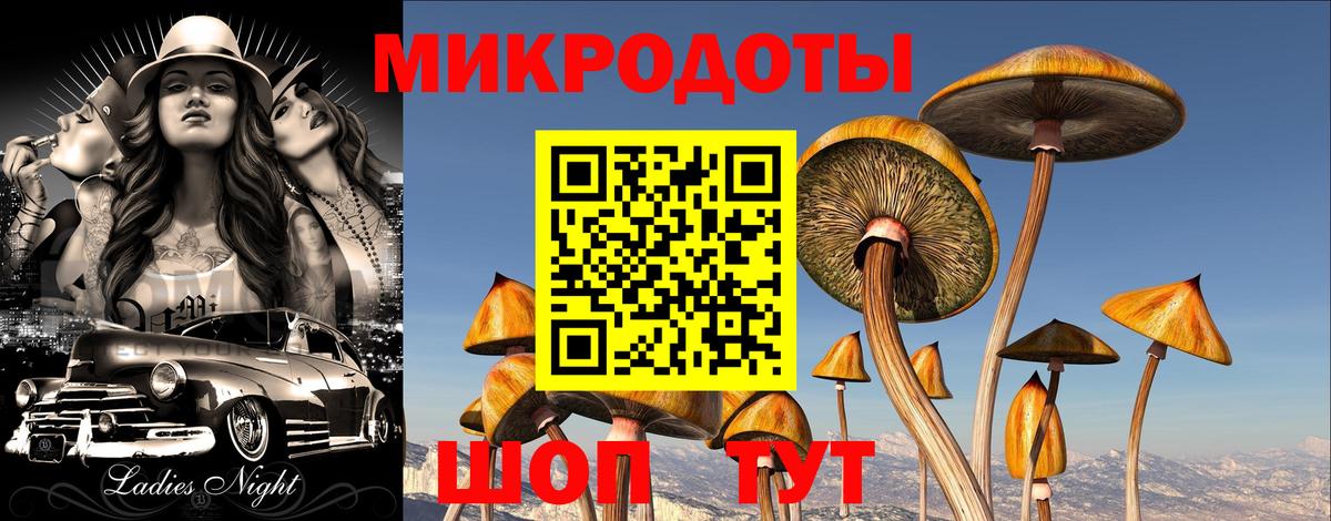 Галлюциногенные грибы Psilocybine cubensis  Вход с VPN  Псилоцибиновые грибы Cubensis  Анапа 