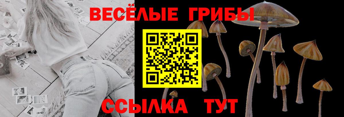 Галлюциногенные грибы Psilocybe  Вход с VPN  Галлюциногенные грибы Cubensis  закладки  Анапа 