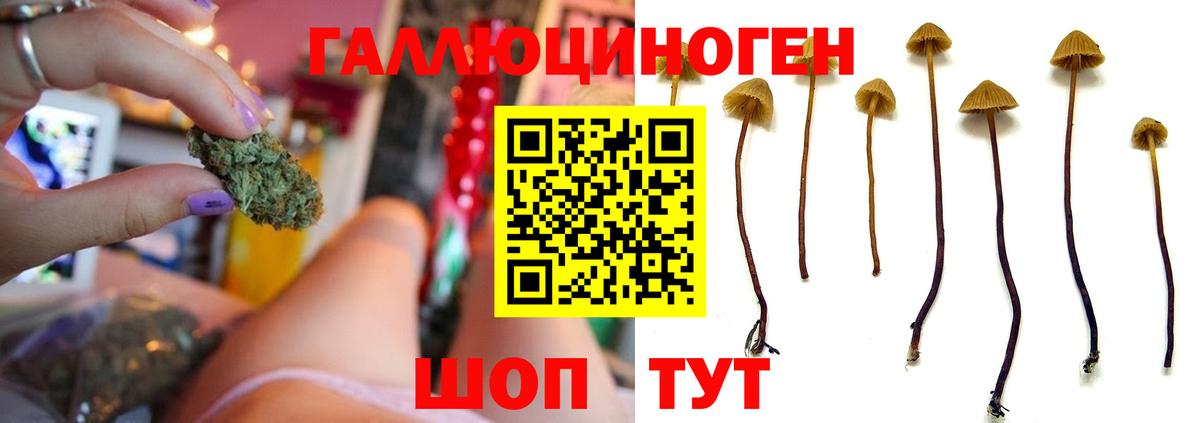 цена   Анапа  Псилоцибиновые грибы ЛСД 